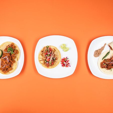 One Guadalajara Tapatio 호텔 틀라케파케 외부 사진